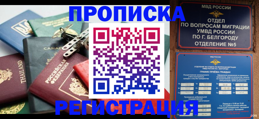 временная регистрация недорого в Тогучине